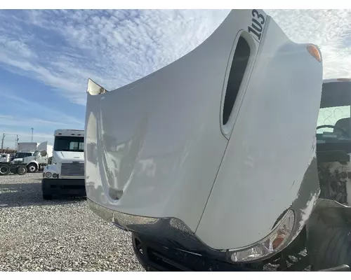 INTERNATIONAL 4300 Hood