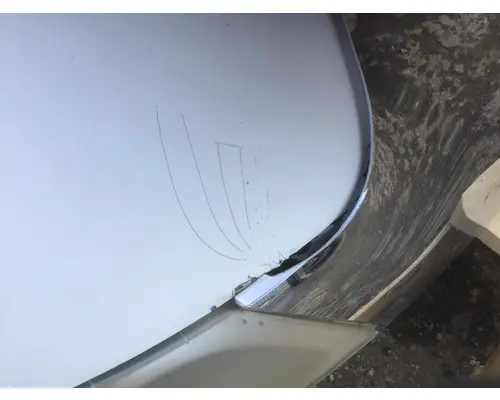 INTERNATIONAL 4300 Hood