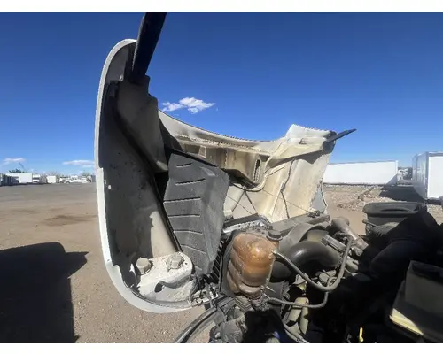 INTERNATIONAL 4300 Hood