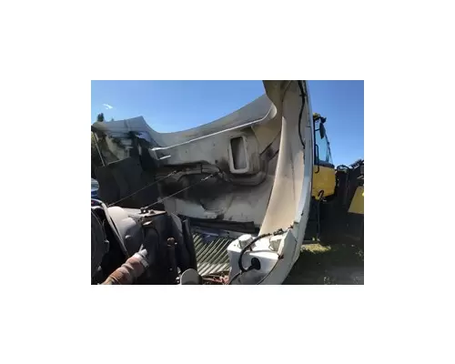 INTERNATIONAL 4300 Hood