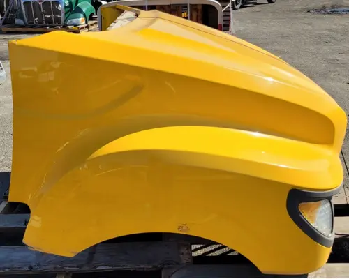 INTERNATIONAL 4300 Hood