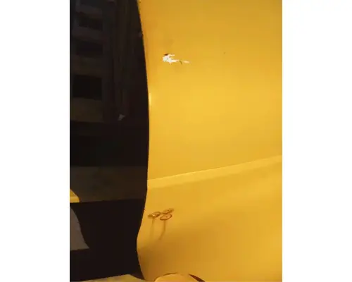 INTERNATIONAL 4300 Hood