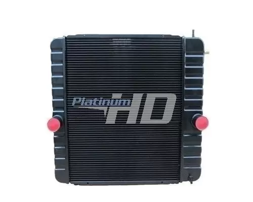 INTERNATIONAL 4300 RADIATOR ASSEMBLY