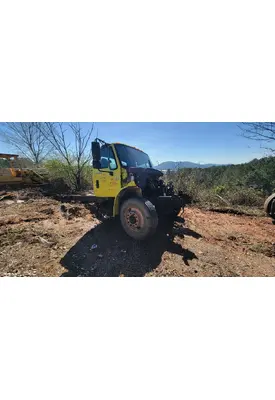 INTERNATIONAL 4300 Spindle / Knuckle, Front