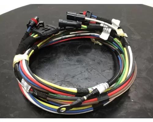 INTERNATIONAL 4300 WIRING HARNESS, BODY