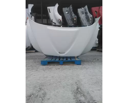 INTERNATIONAL 4400 2002-2009 HOOD
