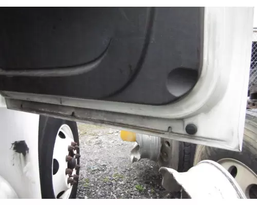 INTERNATIONAL 4400 2002-2020 DOOR ASSEMBLY, FRONT