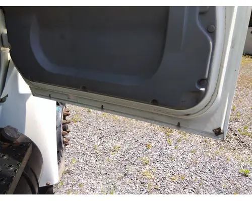 INTERNATIONAL 4400 2002-2020 DOOR ASSEMBLY, FRONT