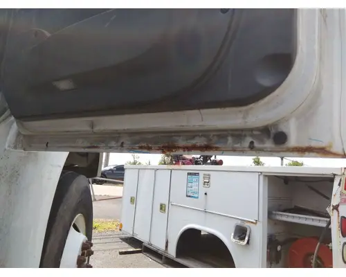 INTERNATIONAL 4400 2002-2020 DOOR ASSEMBLY, FRONT