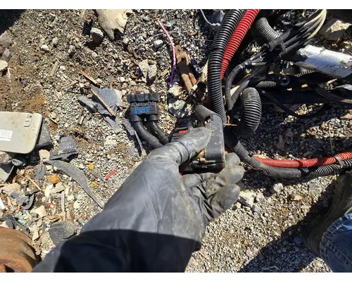 INTERNATIONAL 4400 Engine Wiring Harness