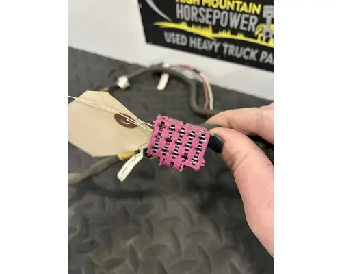 INTERNATIONAL 4900 Body Wiring Harness