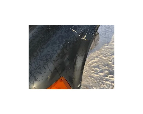 INTERNATIONAL 4900 Hood