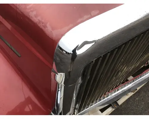 INTERNATIONAL 5900i Hood