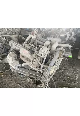 INTERNATIONAL 6.0 Engine Assembly