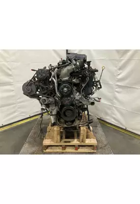 INTERNATIONAL 6.0 Engine Assembly