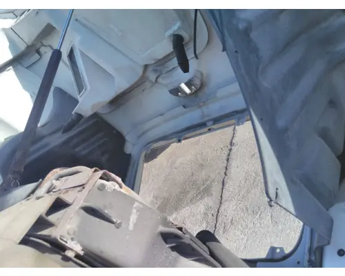 INTERNATIONAL 8600 HOOD