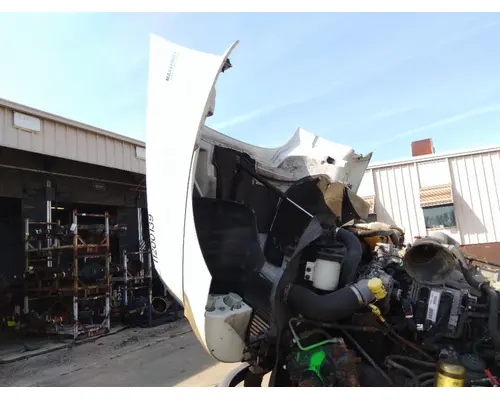 INTERNATIONAL 8600 HOOD