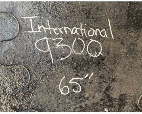 INTERNATIONAL 9300 Hood