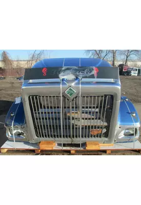 INTERNATIONAL 9900 Eagle Hood