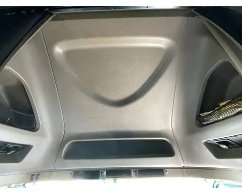 INTERNATIONAL 9900I Headliner