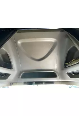 INTERNATIONAL 9900I Headliner