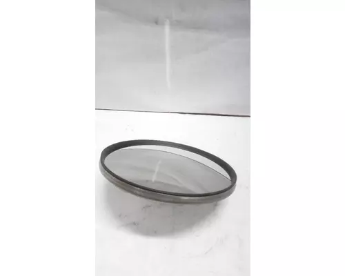 INTERNATIONAL 9900 Door Panel (Trim)