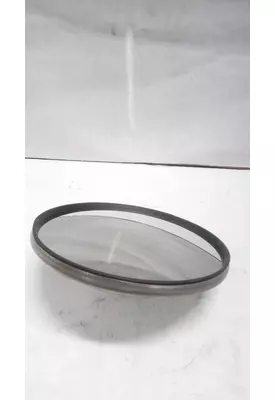 INTERNATIONAL 9900 Door Panel (Trim)
