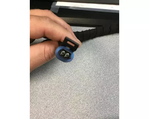 INTERNATIONAL ALL Wire Harness, Transmission