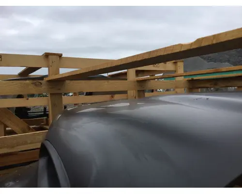 INTERNATIONAL CE Hood