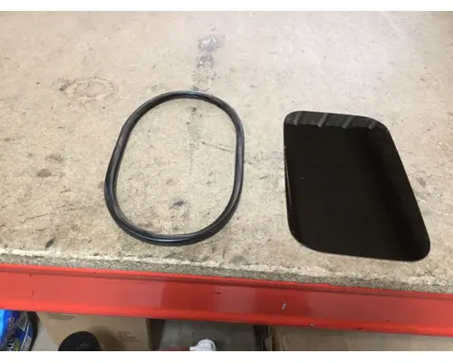 INTERNATIONAL CF500 Mirror (Side View)