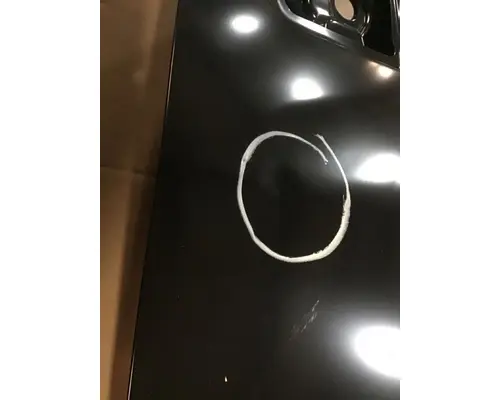 INTERNATIONAL CV Door Assembly, Front