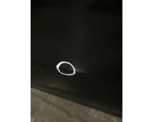 INTERNATIONAL CV Door Assembly, Front