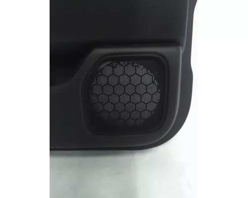 INTERNATIONAL CV Door Panel (Trim)