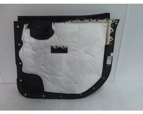 INTERNATIONAL CV Door Panel (Trim)