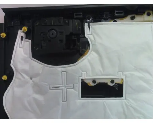 INTERNATIONAL CV Door Panel (Trim)