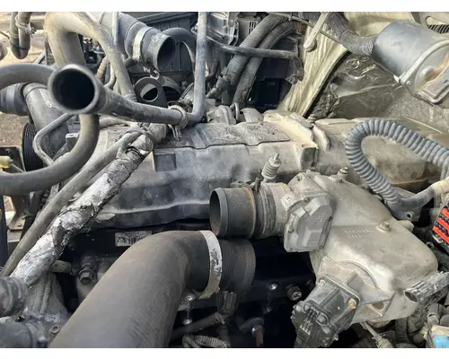 INTERNATIONAL DT 466 CID Exhaust Manifold