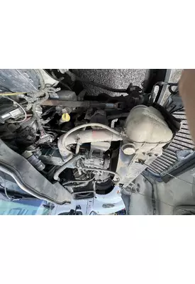INTERNATIONAL DT 466C Oil Pump