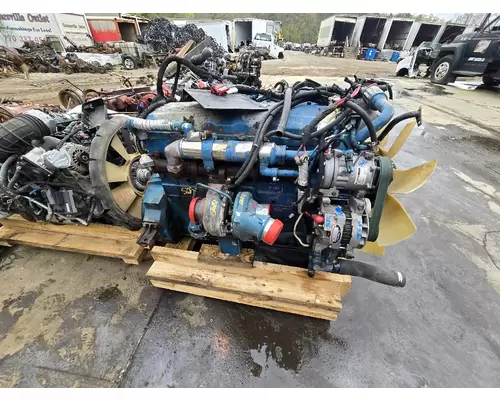 INTERNATIONAL DT-466EGR Engine Assembly