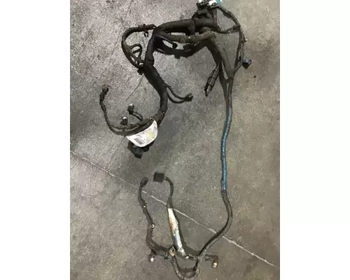 INTERNATIONAL DT 466EGR Wiring Harness