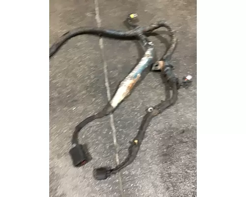 INTERNATIONAL DT 466EGR Wiring Harness