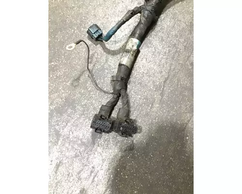 INTERNATIONAL DT 466EGR Wiring Harness