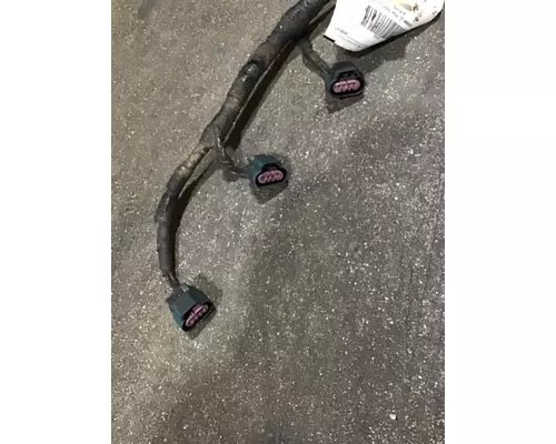 INTERNATIONAL DT 466EGR Wiring Harness