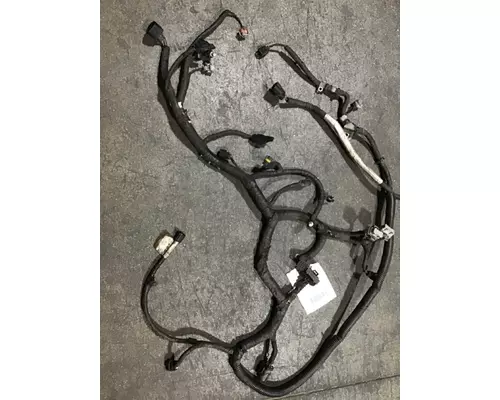 INTERNATIONAL DT 466EGR Wiring Harness
