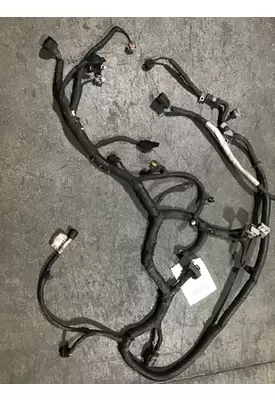 INTERNATIONAL DT 466EGR Wiring Harness