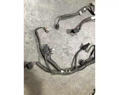INTERNATIONAL DT 466EGR Wiring Harness