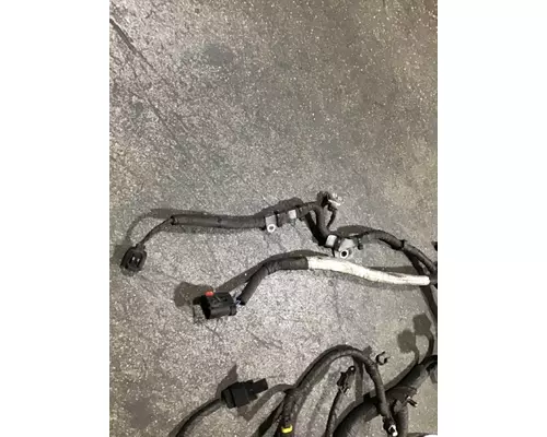 INTERNATIONAL DT 466EGR Wiring Harness