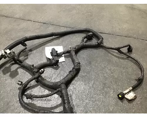 INTERNATIONAL DT 466EGR Wiring Harness