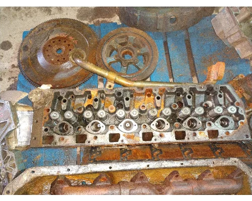 INTERNATIONAL DT 466E Cylinder Head