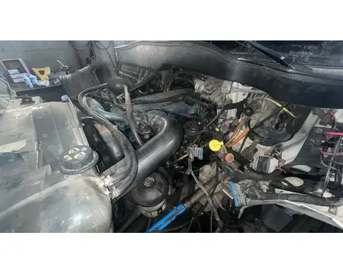 INTERNATIONAL DT 466E Cylinder Head