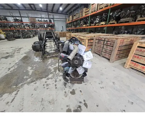 INTERNATIONAL DT 466 Engine Oil Cooler